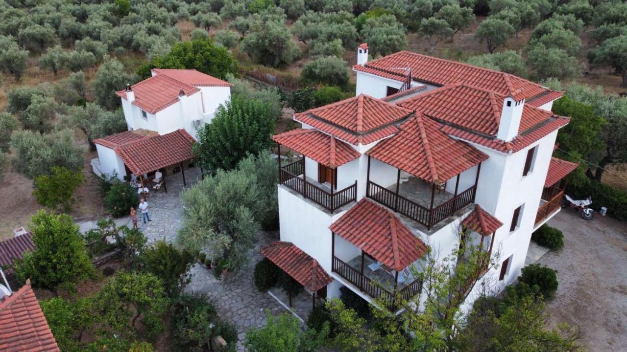 Marlitsis Apartments & Studios Skopelos stad Exteriör bild