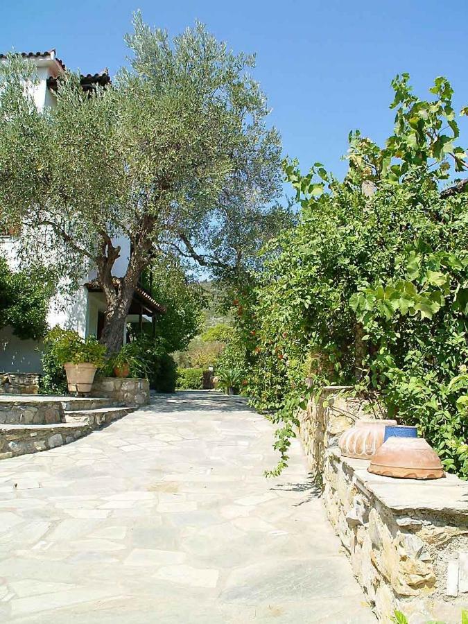 Marlitsis Apartments & Studios Skopelos stad Exteriör bild